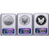 Image 2 : 2006 W 20th Anniversary Silver American Eagle Dollar Set NGC MS69/PF69/PF69