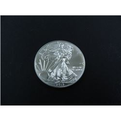 American Silver Eagle, One Ounce Fine Silver, Dates  Our Choice