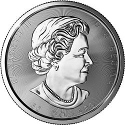 2017 10 oz Canadian Silver Magnificent Maple Leaf Coin, TEN OZ. .9999 Fine Silver!