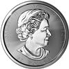 Image 1 : 2017 10 oz Canadian Silver Magnificent Maple Leaf Coin, TEN OZ. .9999 Fine Silver!