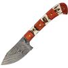 Image 1 : DAMASCUS BLADE Mini Hunter Knife, made by Fox-N-Hound, FH625