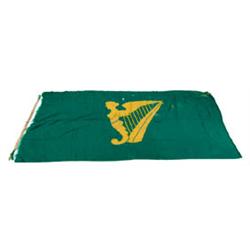 IRISH BRIGADE - GAR REUNION FLAG