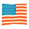 Image 1 : 48 STAR AMERICAN PARADE FLAG