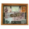 Image 1 : LOT OF CUSTER BATTLEFIELD ARTIFACTS