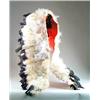 Image 1 : PLAINS INDIAN STYLE 20TH CENTURY DANCE CAPE