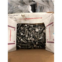 Assorted 1/2" stainless bolts and fender washers