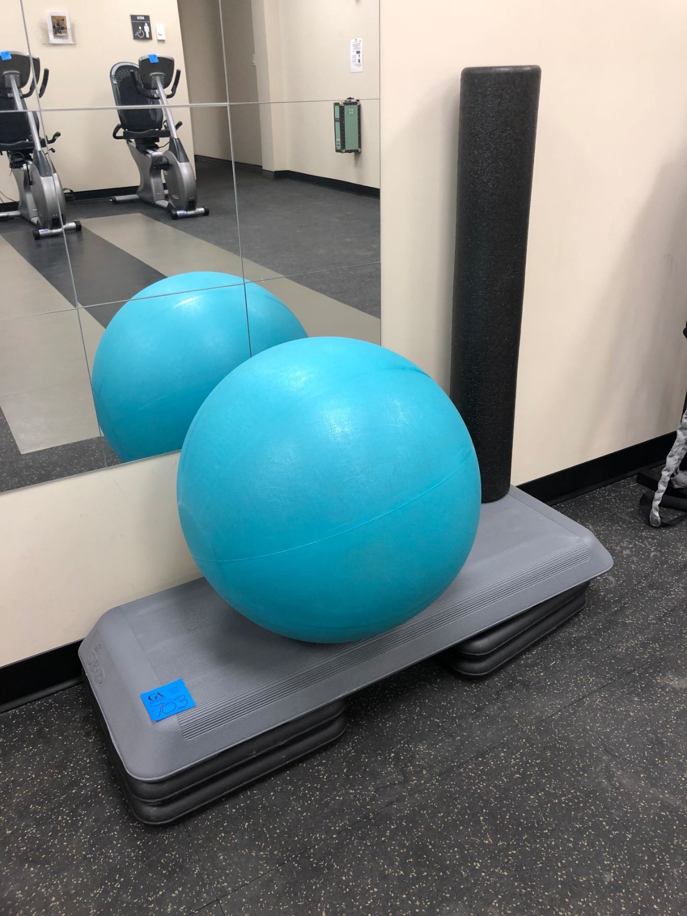 Swiss Exercise Ball 22