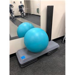 Swiss Exercise Ball 22", Step up c/w risers, black foam roller