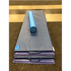 4 - 6 foot mats, blue foam roller