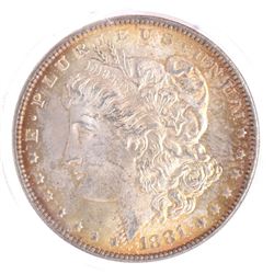 1881 Morgan Dollar