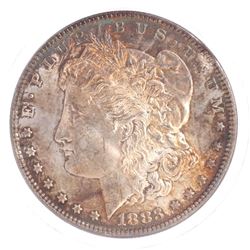 1883 Morgan Dollar