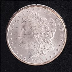 1880-CC Morgan Dollar, Gov't. Case, 61