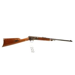 Winchester 1903 22 Automatic