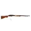 Image 1 : Remington Pump 22