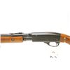 Image 8 : Remington Pump 22