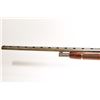Image 8 : Mossberg Backup Gun