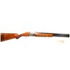 Image 1 : Modified Browning Superposed