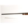 Image 8 : American Gun Co. 16 Ga