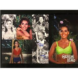 DAWN WELLS SIGNED GILLIGAN'S ISLAND PHOTO COLLAGE