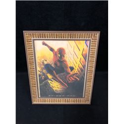 SPIDER-MAN FRAMED PRINT