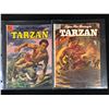 Image 1 : TARZAN COMIC BOOK LOT (DELL COMICS)