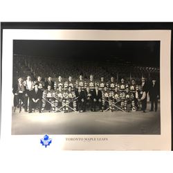 TORONTO MAPLE LEAFS TEAM PHOTO "30" X 20" PRINT