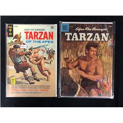 COMIC BOOK LOT (TARZAN OF THE APES/ TARZAN)