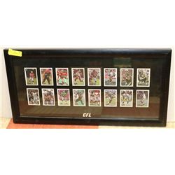 FRAMED CFL COLLECTOR TAGGZ