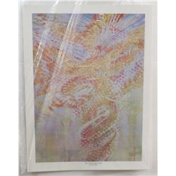 33) "THE CEILING OF MY STUDIO" MICHAEL R. WHIPPL