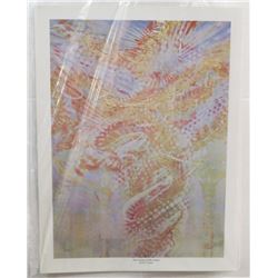 44) "THE CEILING OF MY STUDIO" MICHAEL R. WHIPPLE