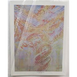 27) "THE CEILING OF MY STUDIO" MICHAEL R. WHIPPL