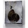 Image 1 : 13)  AMMOLITE FOSSIL SPECIMEN PENDANT