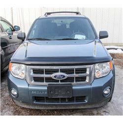 2010 FORD ESCAPE XLT
