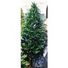 Image 1 : 7.5 FT CHRISTMAS TREE "E" ALL LIGHTS WORK WITH BOX