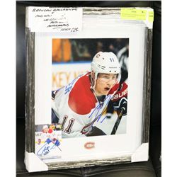 BRENDAN GALLAGHER & ANDREW SHAW GUARANTEED