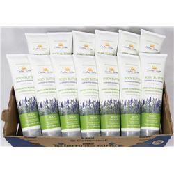 FLAT OF CREATIONS GARDEN LAVENDER AND CHAMOMILE