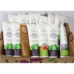 FLAT OF ASSORTED CREATIONS GARDEN ORGANIC