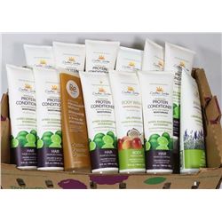 FLAT OF ASSORTED CREATIONS GARDEN ORGANIC