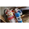 Image 2 : 3 FIRE EXTINGUISHERS