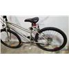 Image 4 : SILVER SUPERCYCLE BIKE