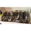 Image 1 : BOX OF NEW AMBER CONDOR ADJUSTABLE STRAP SAFETY GLASSES RETAIL $170
