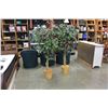 Image 1 : 2 ARTIFICAL TREES