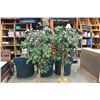 Image 3 : 2 ARTIFICAL TREES