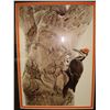 Image 2 : PILEATED WOOD PECKER BY ROBERT BATEMAN