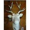 Image 1 : TINSEL AND FUR WALL MOUNT DEER HEAD