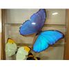Image 3 : BUTTERFLYS IN GLASS CASE