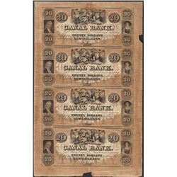 Uncut Sheet of 1800's $20 Canal Bank Obsolete Notes