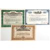 Image 1 : Gold, Railroad and Hotel Stocks (3)