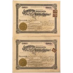 Sunbeam Consolidated Mining Company