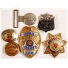 Image 1 : Badge Collection